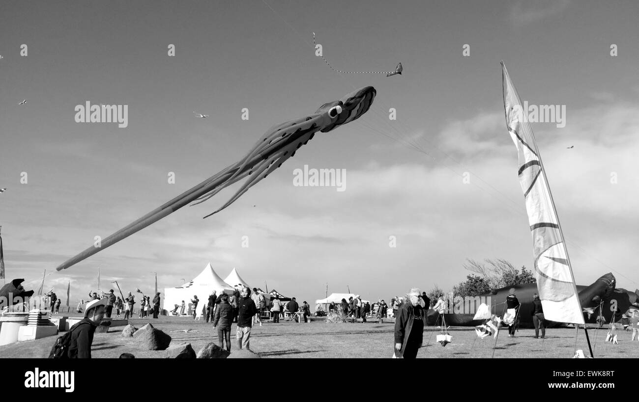 Auckland, New Zealand. 28th June, 2015. Kites of all forms and sizes fly in the clear sky during the Puketapapa Manu Aute Kite Day at Winstone Park in Mount Roskill, Auckland, Zealand taken on Sunday, June 28, 2015. Credit:  Aloysius Patrimonio/Alamy Live News Stock Photo