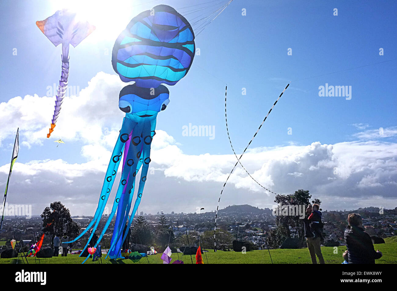 Puketapapa hires stock photography and images Alamy