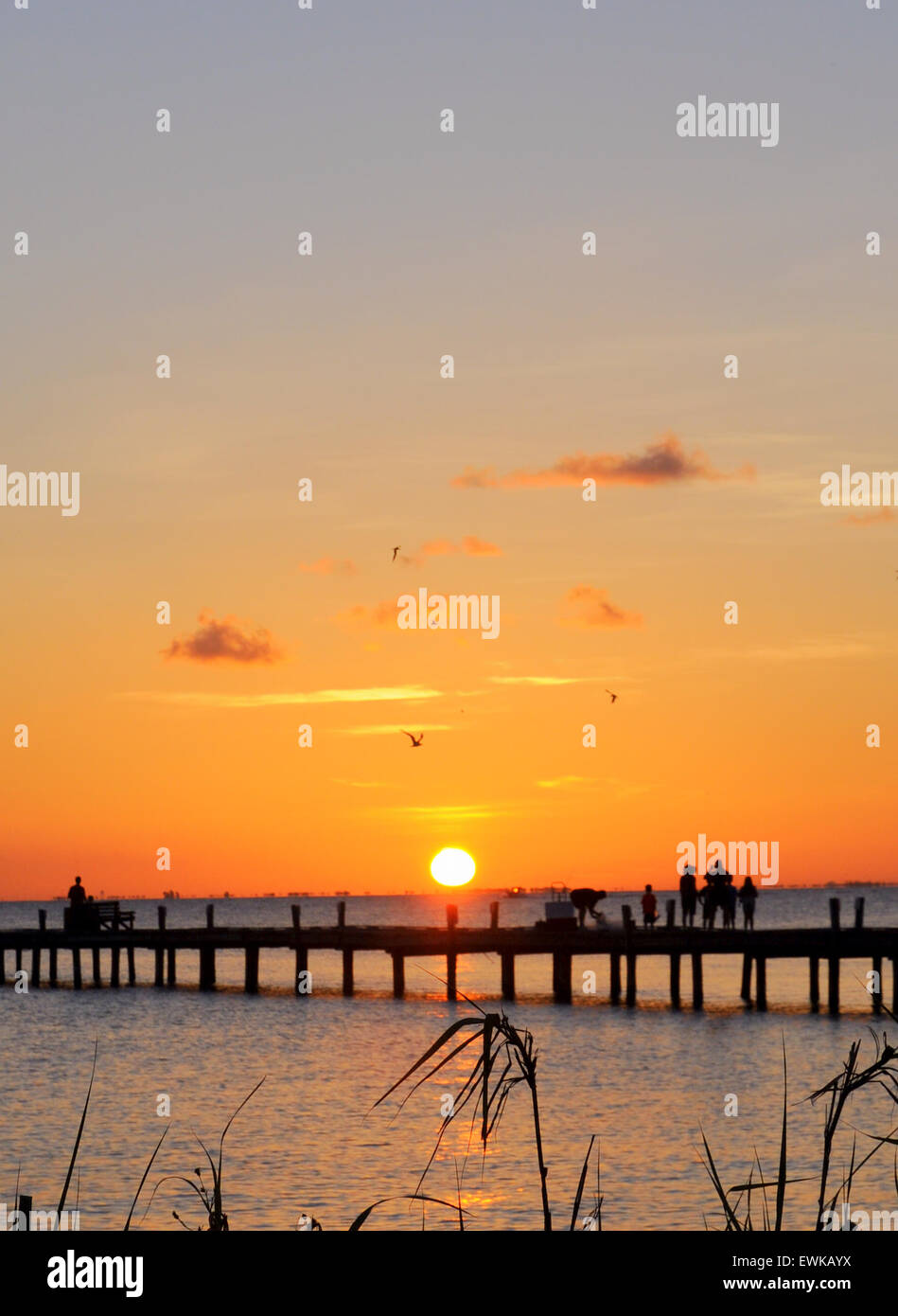 Anna Maria Island, Florida, USA. 28th June, 2015. A glorious start to the day at the City Pier..86 F and less humid than of late, a gentle breeze with some cloud forming over the Gulf Stock Photo