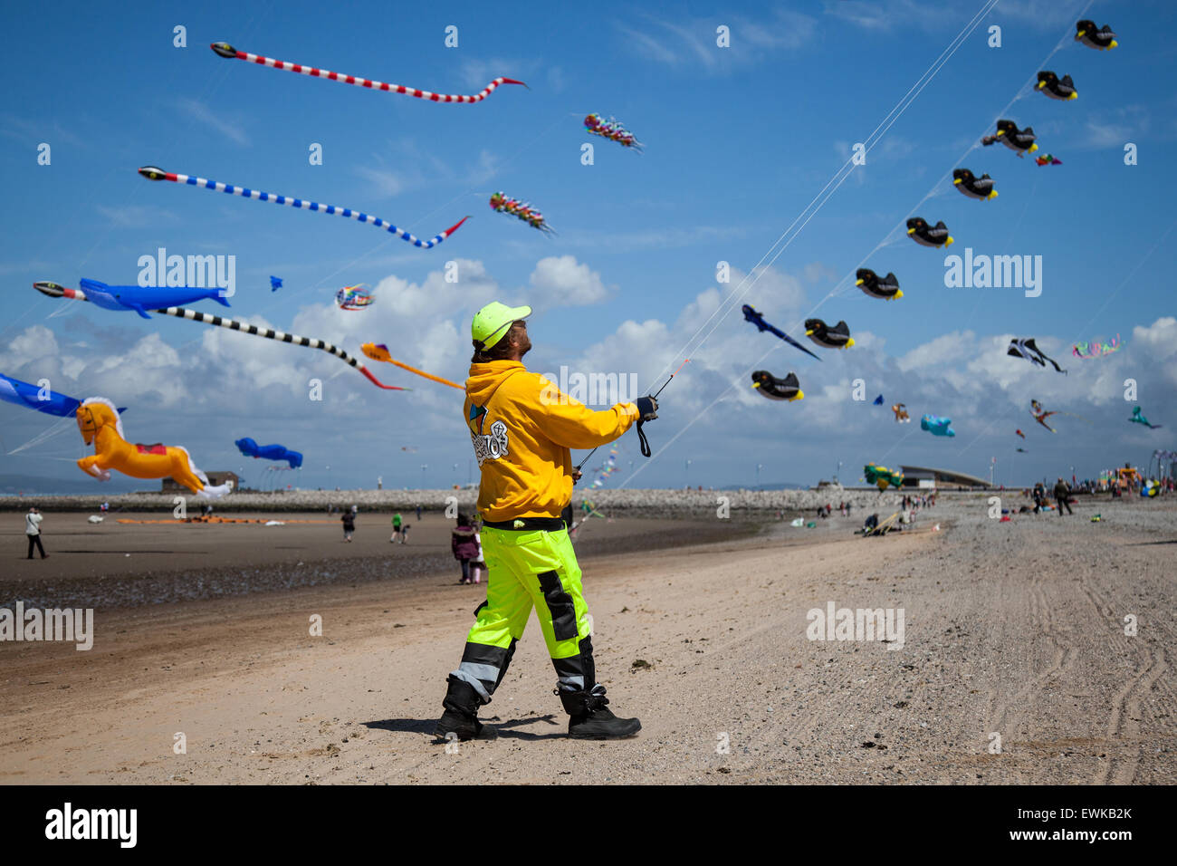 Morecambe, Lancashire, UK 27th June, 2015. Catch The Wind Kite Festival an annual festival on Morecambe seafront, when for the whole day the skies are full of the most spectacular shapes, colours and creations.  Featured were single line kites of all kinds and sizes, including a massive 30 metre long inflatable Octopus, flying horses, dogs and even fish. Plus 2-line and 4-line stunt kites. Credit:  Mar Photographics/Alamy Live News Stock Photo