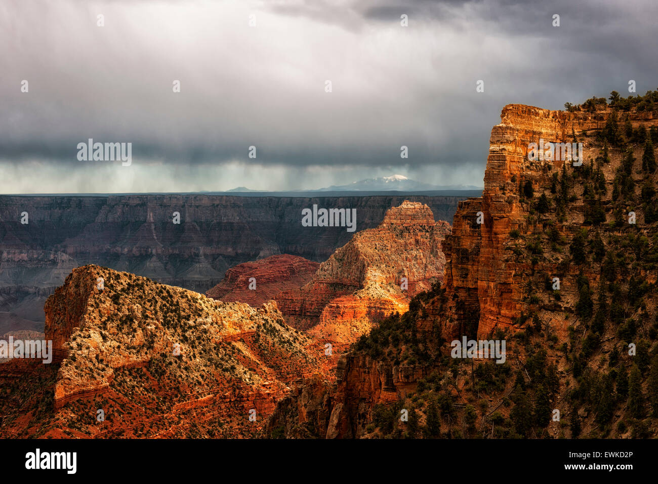 Point arch window hi-res stock photography and images - Alamy