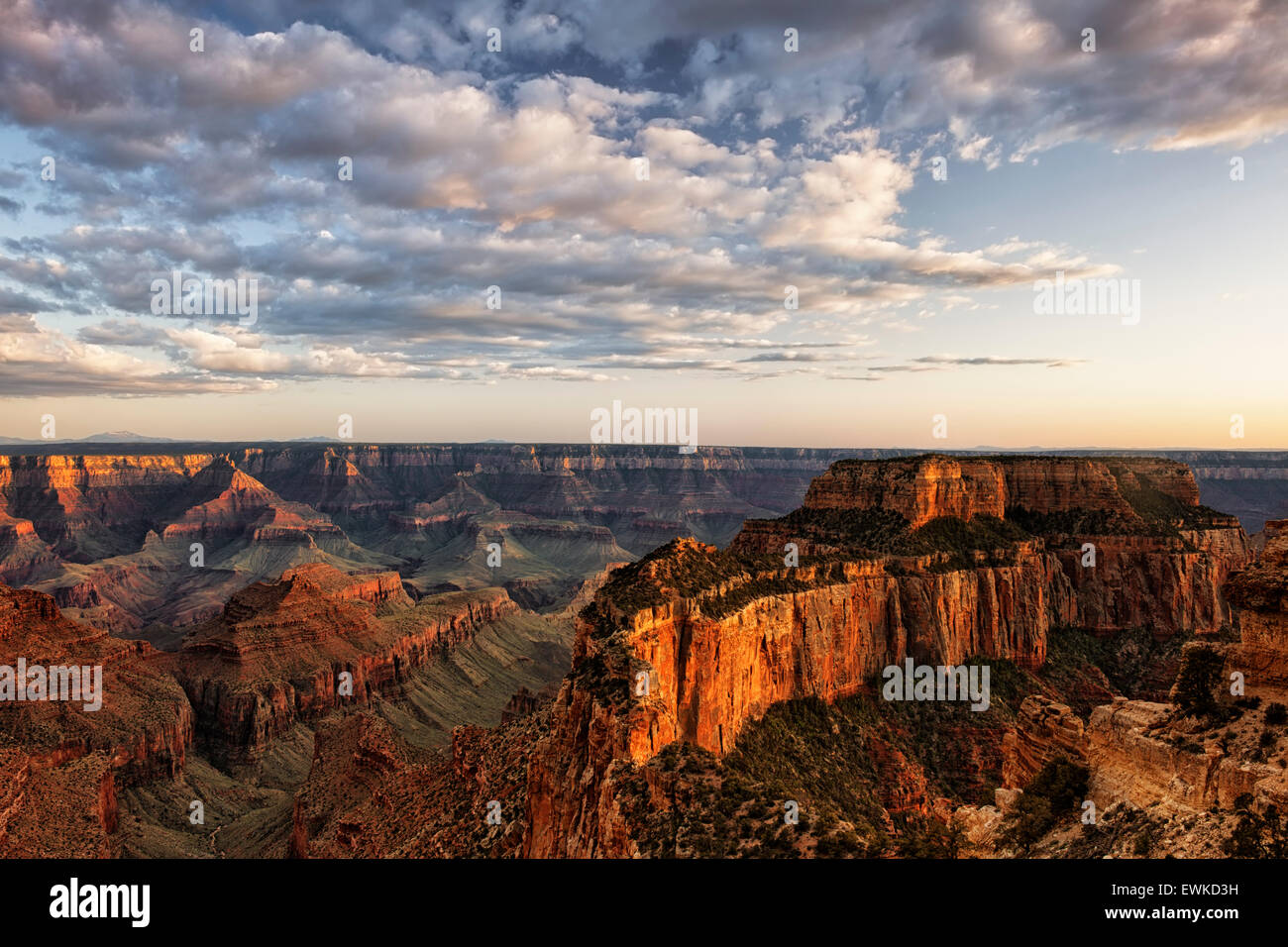 Evening light bathes Wotans Throne from Cape Royal on the North Rim of ...