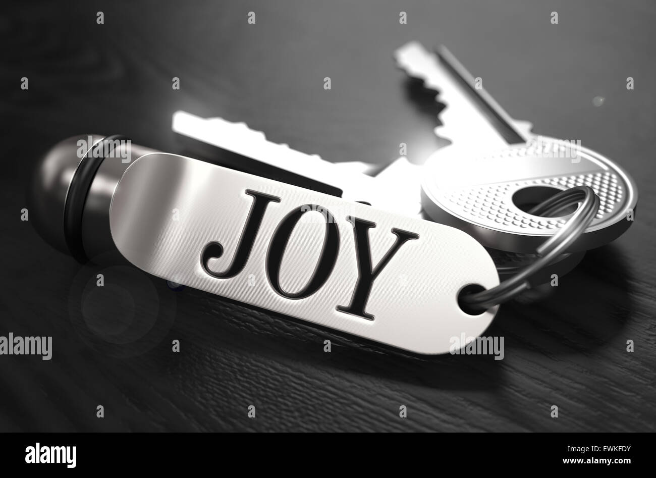 Joy Concept. Keys with Keyring. Stock Photo