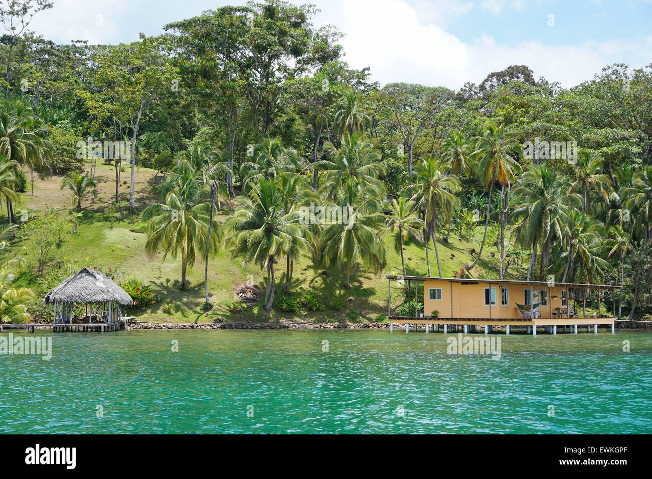 Oceanfront Caribbean property in Central America with coconut palm