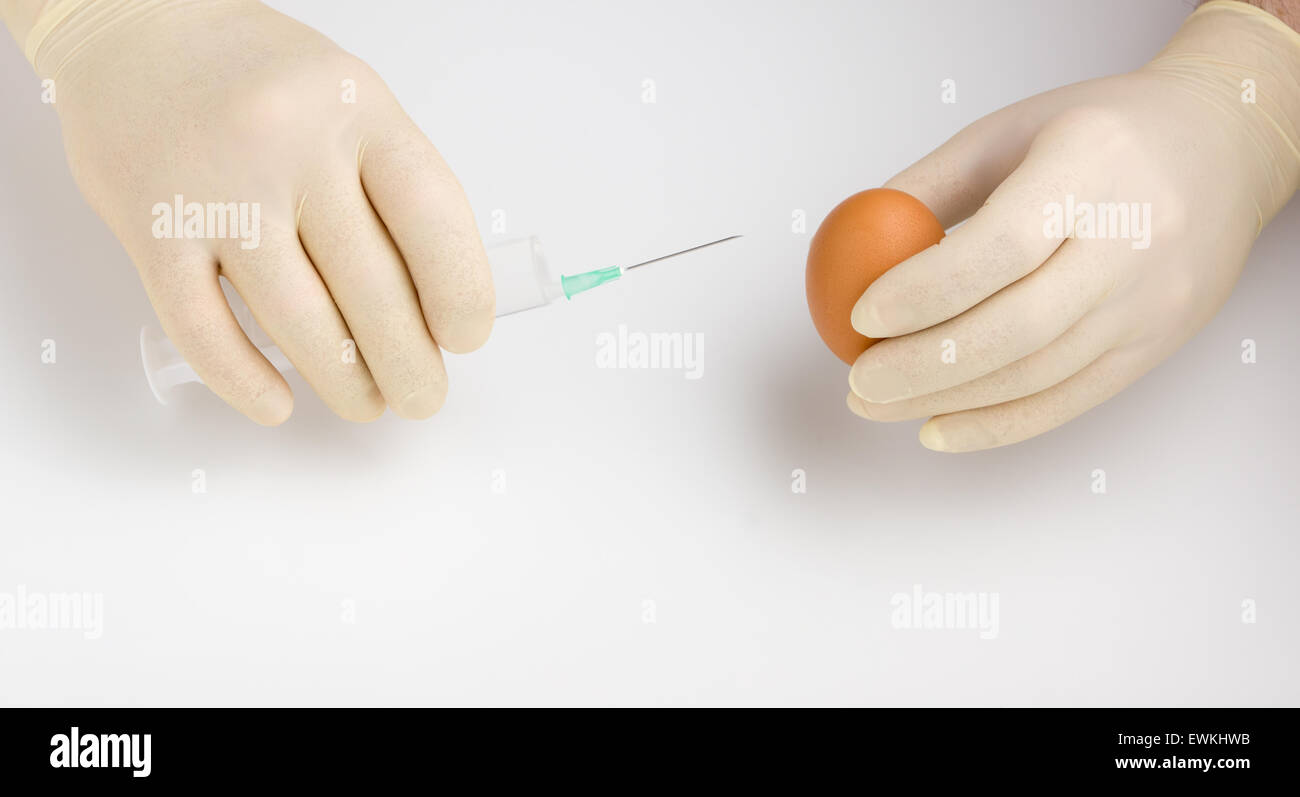 the medical worker carries out a test fence from egg on bird's flu Stock Photo