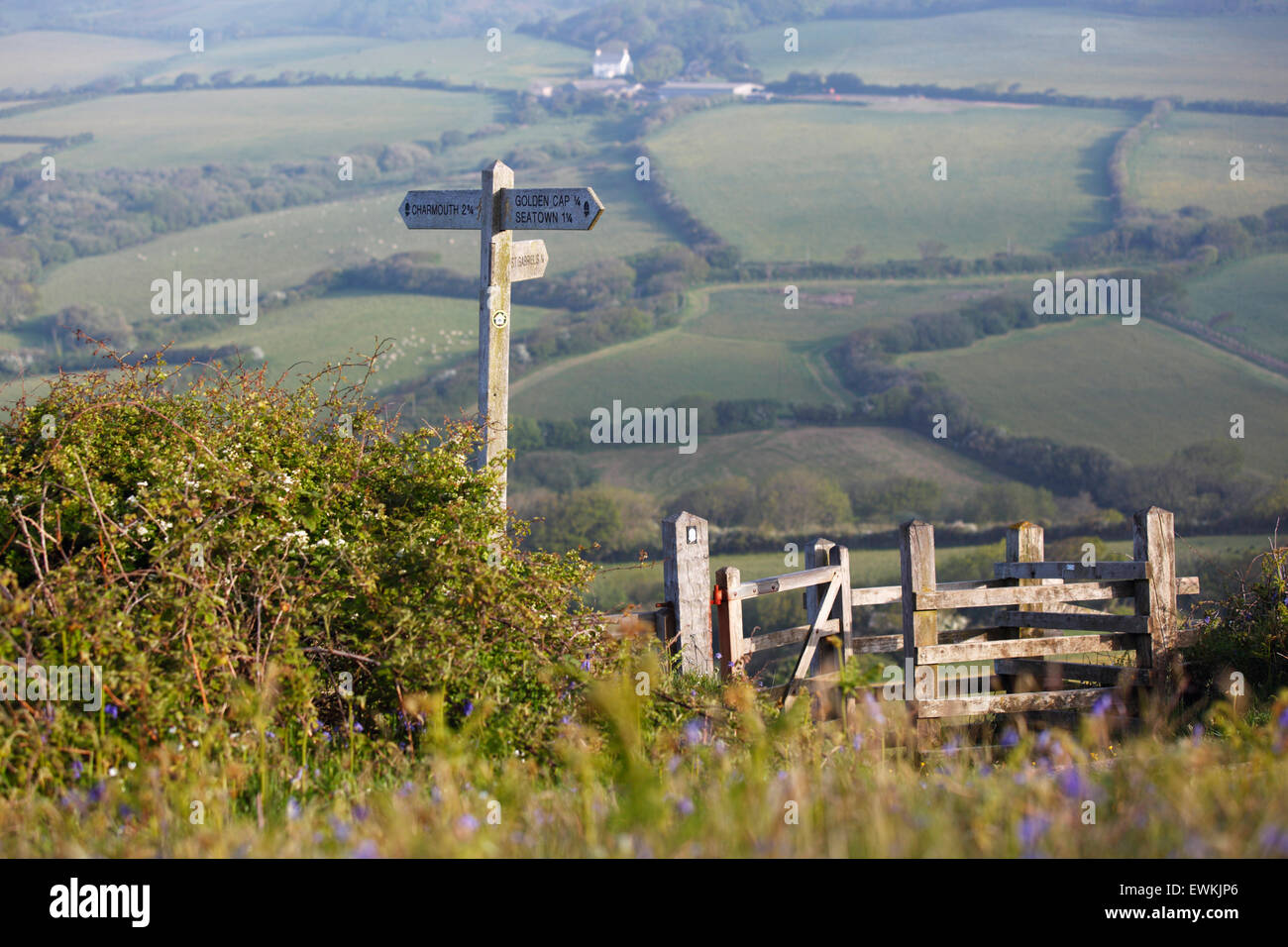 Footpath Sign and Kissing Gate. Dorset. UK. Stock Photo