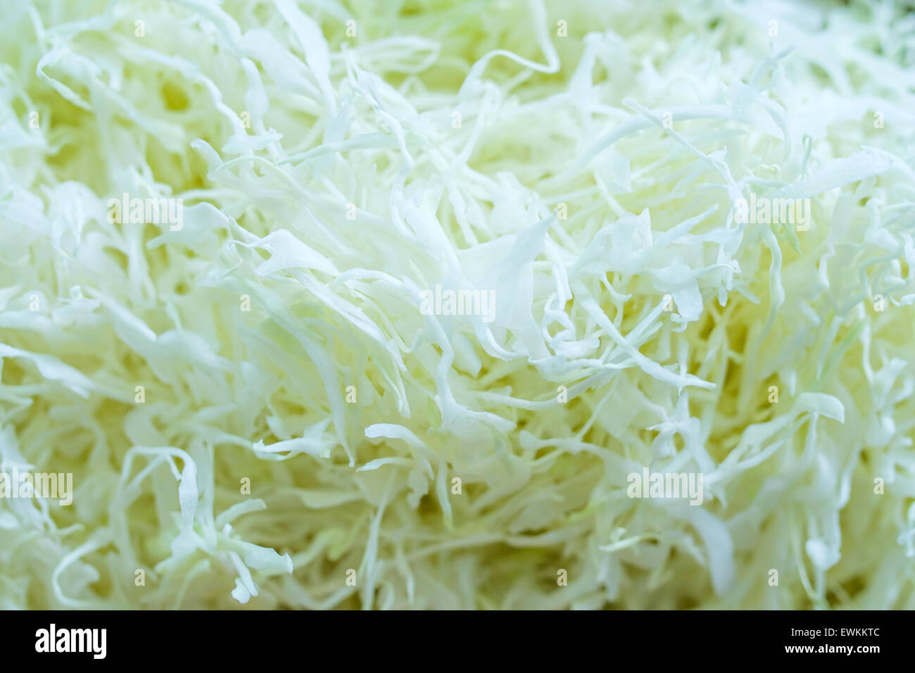 pile of sliced cabbage Stock Photo