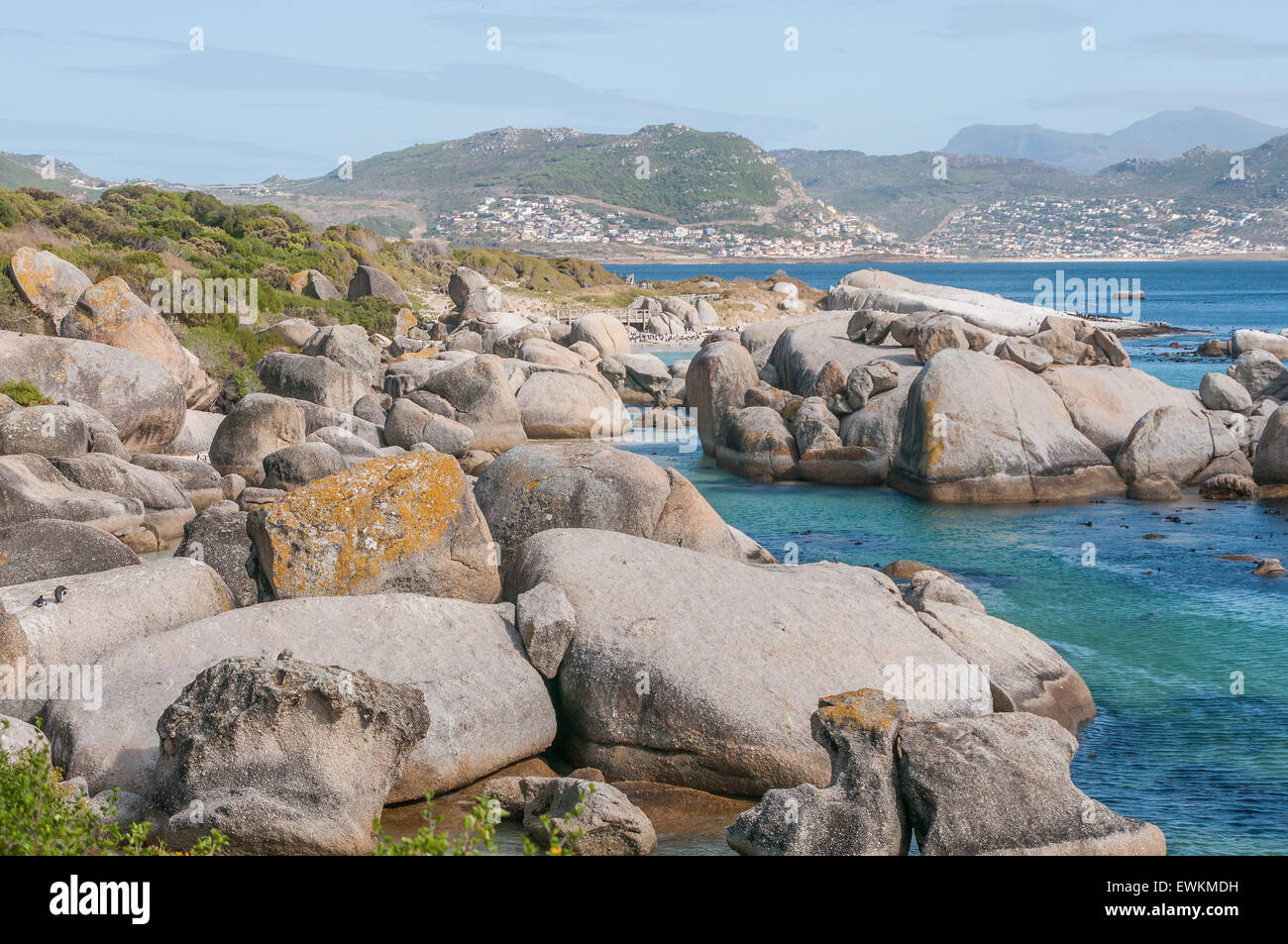 The Boulders section of the Table Mountain National Park is in Simons Town. It is home to a land-based colony of endangered Afri Stock Photo