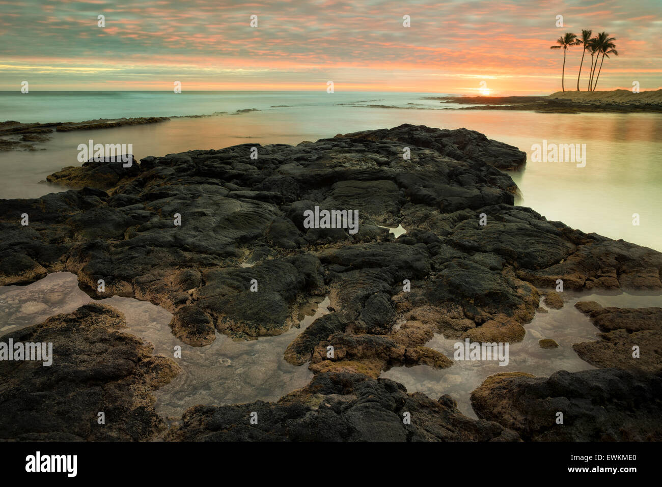 Sunset and palm trees on the Kohala Coast. Hawaii, The Big Island. Stock Photo