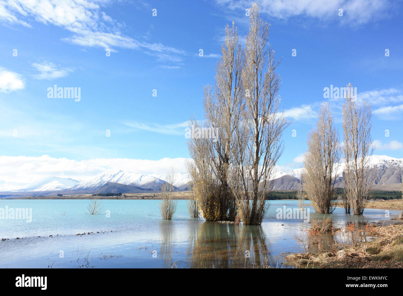 Lake Tekapo, South Island, New Zealand Stock Photo - Alamy