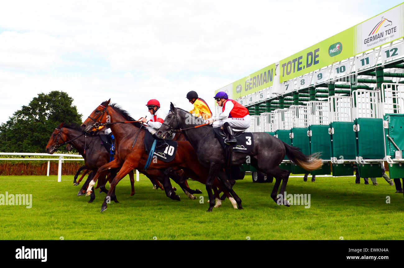 Horse Racing Starting Gate High Resolution Stock Photography And Images Alamy