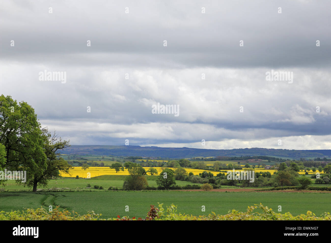 Overcast day in the Yorkshire countryside UK Stock Photo
