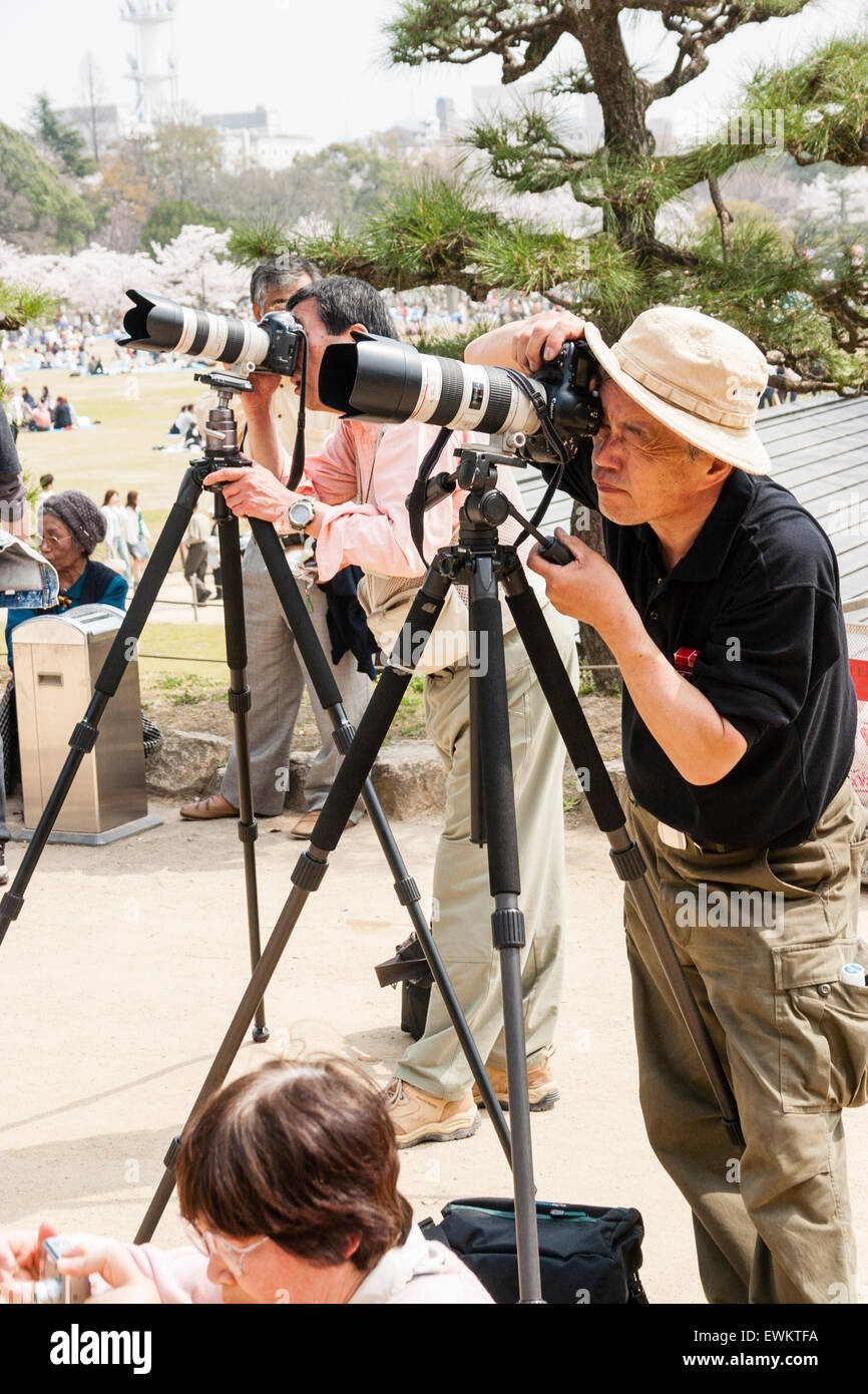 Line of several mature Japanese men with tripods set up and cameras