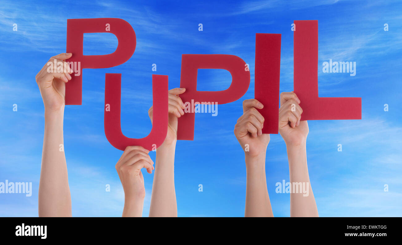 Many People Hands Holding Red Word Pupil Blue Sky Stock Photo - Alamy