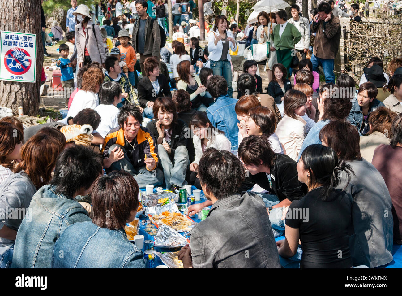 Cherry Blossom Event High Resolution Stock Photography And Images Alamy