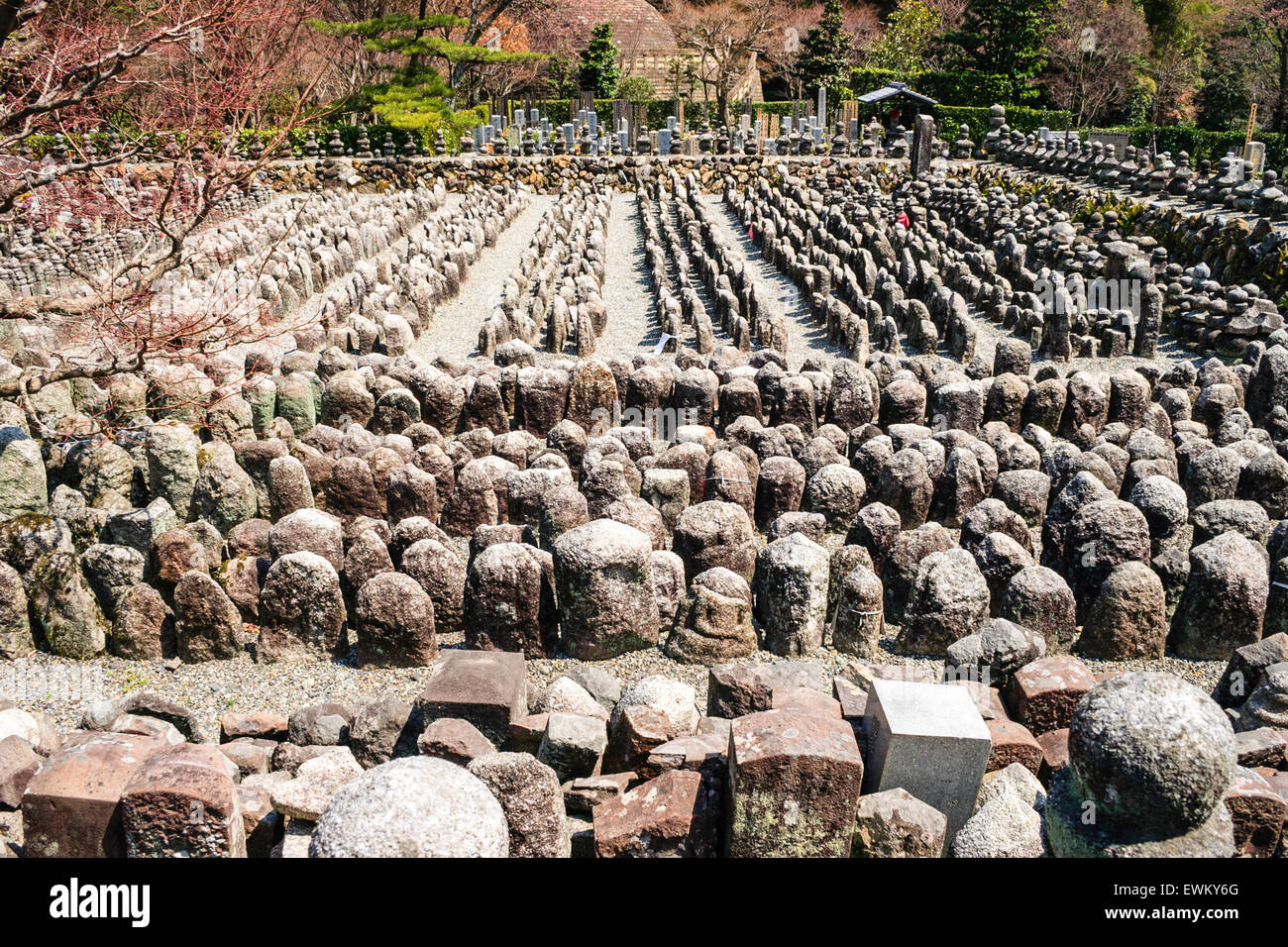 Japan Kyoto Adashino The Famous Nembutsu Ji Temple Rows Of Jizo Stock Photo Alamy Japan Kyoto Adashino The Famous Nembutsu Ji Temple Rows Of Jizo Stock Photo Alamy