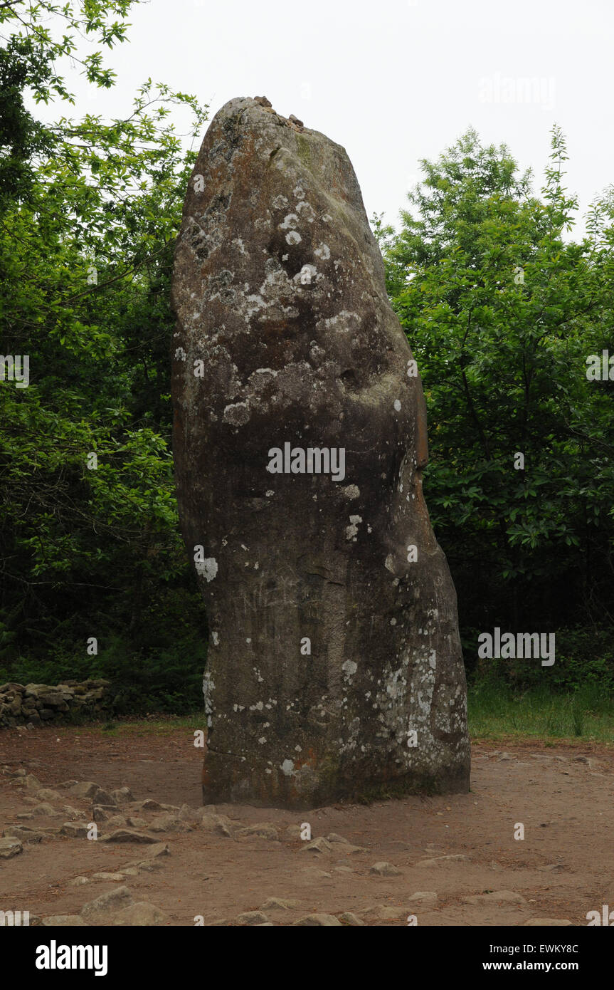 The Geant du Manio (Manio Giant) , a menhir, stands some 6.5 metres high. It is near the Quadrilateredu Manio, Carnac. Stock Photo