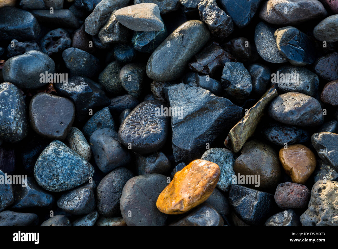 River rocks with morning dew and water droplets on the banks of Hood River in Oregon Stock Photo