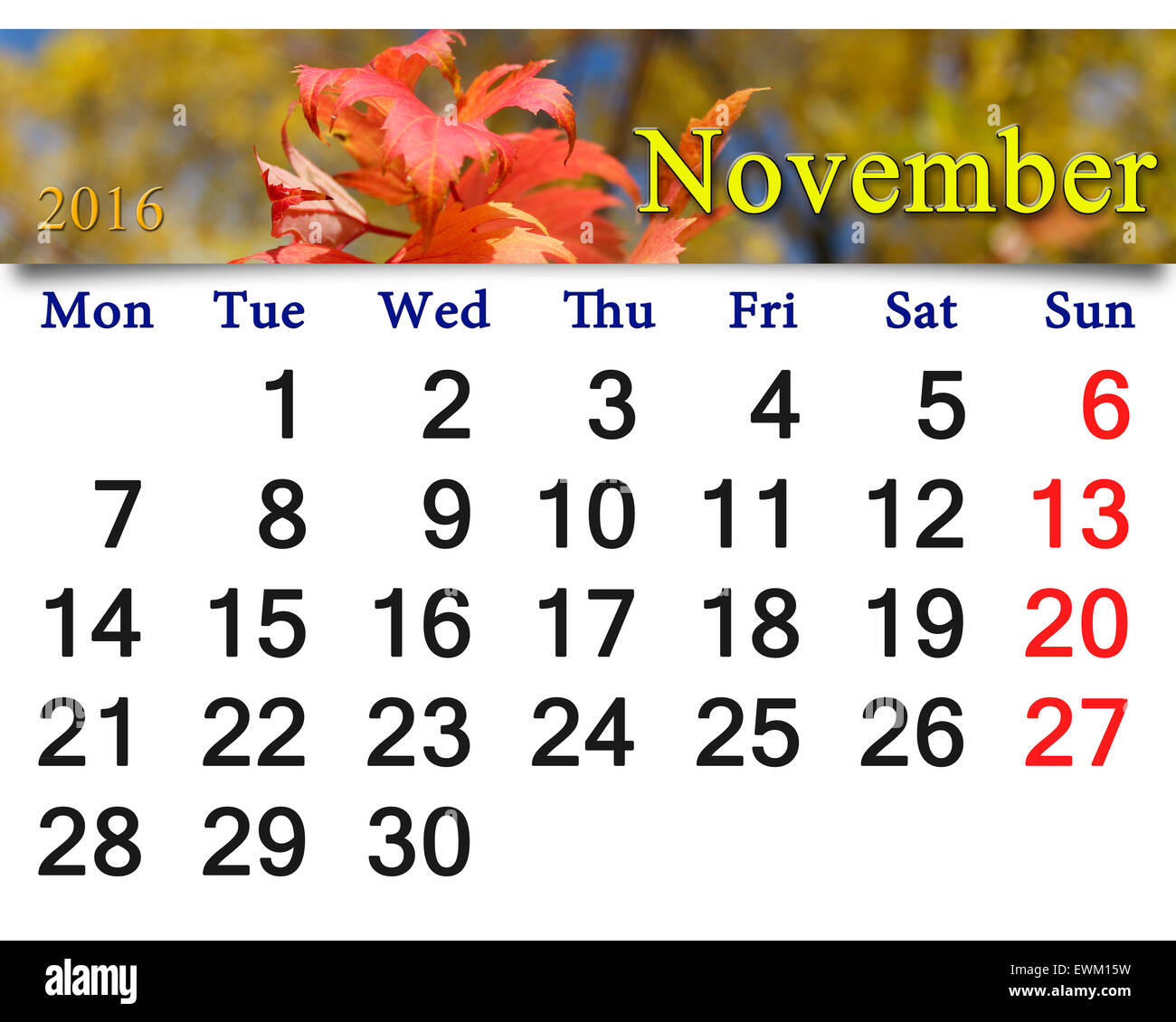 Calendar For November 2016 With The Ribbon Of Red Maple Autumn Leaves calendar-for-november-2016-with-the-ribbon-of-red-maple-autumn-leaves