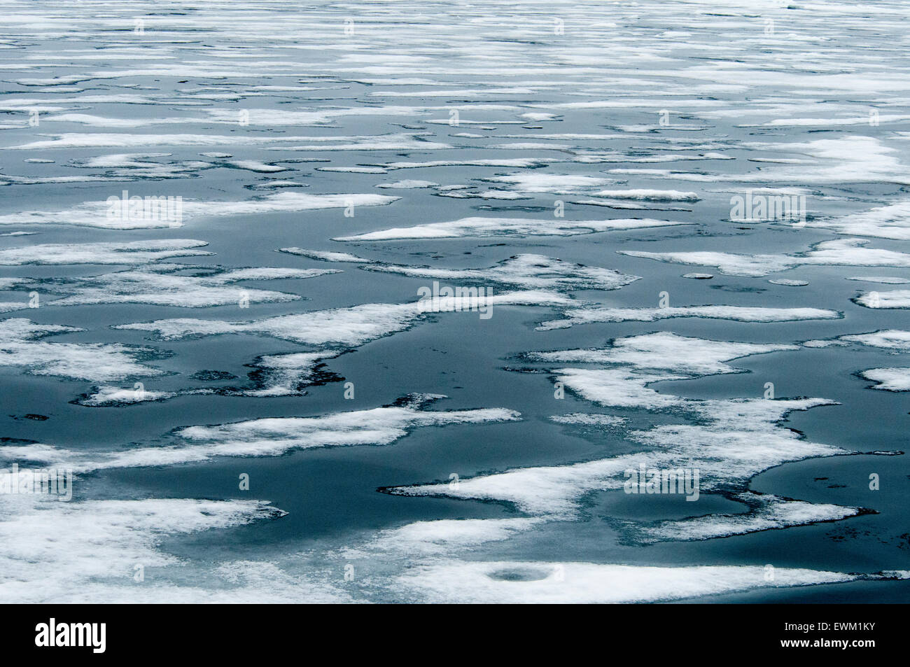 Abstract formed by Ice in the blue water of the Arctic Ocean near Spitsbergen, the Svalbard Archipelago, Norway Stock Photo