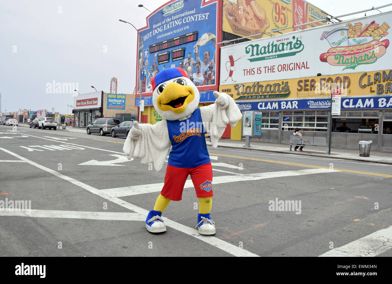 Pee-Wee the seagull, the Brooklyn Cyclones mascot photographed in