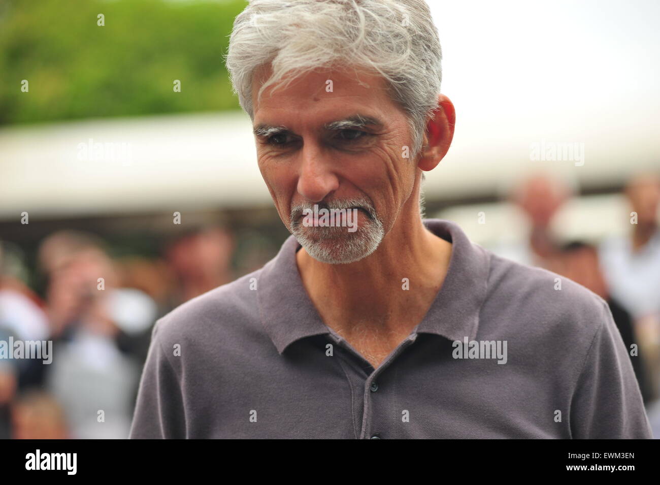 1997 F1 World Champion Damon Hill at the Goodwood Festival of Speed. Racing drivers, celebrities and thousands of members of the public attended the Goodwood Festival of Speed to see modern and old racing cars and bikes in action. Stock Photo