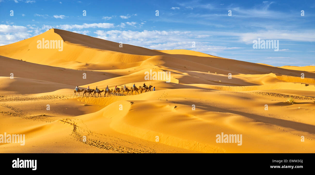 Camel caravan, Erg Chebbi desert near Merzouga, Sahara, Morocco Stock Photo