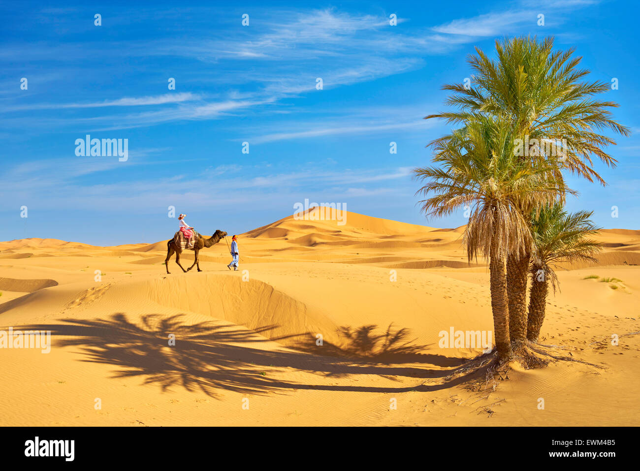 Tourist on camel ride, Erg Chebbi desert near Merzouga, Sahara, Morocco Stock Photo