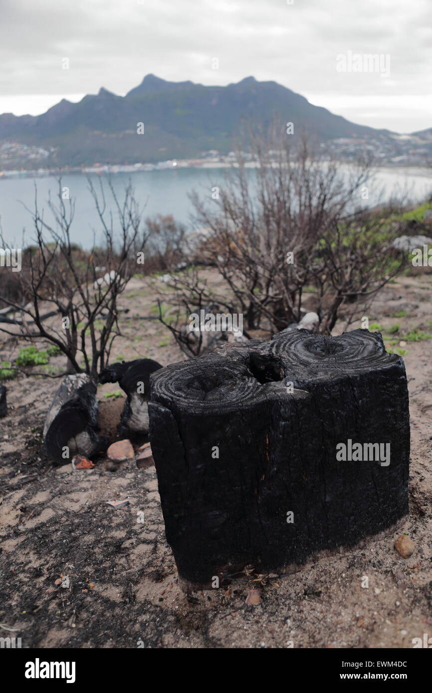 View of the Sentinel and Hout Bay from mountain slopes after a a disastrous bushfire in the Cape Peninsula Stock Photo