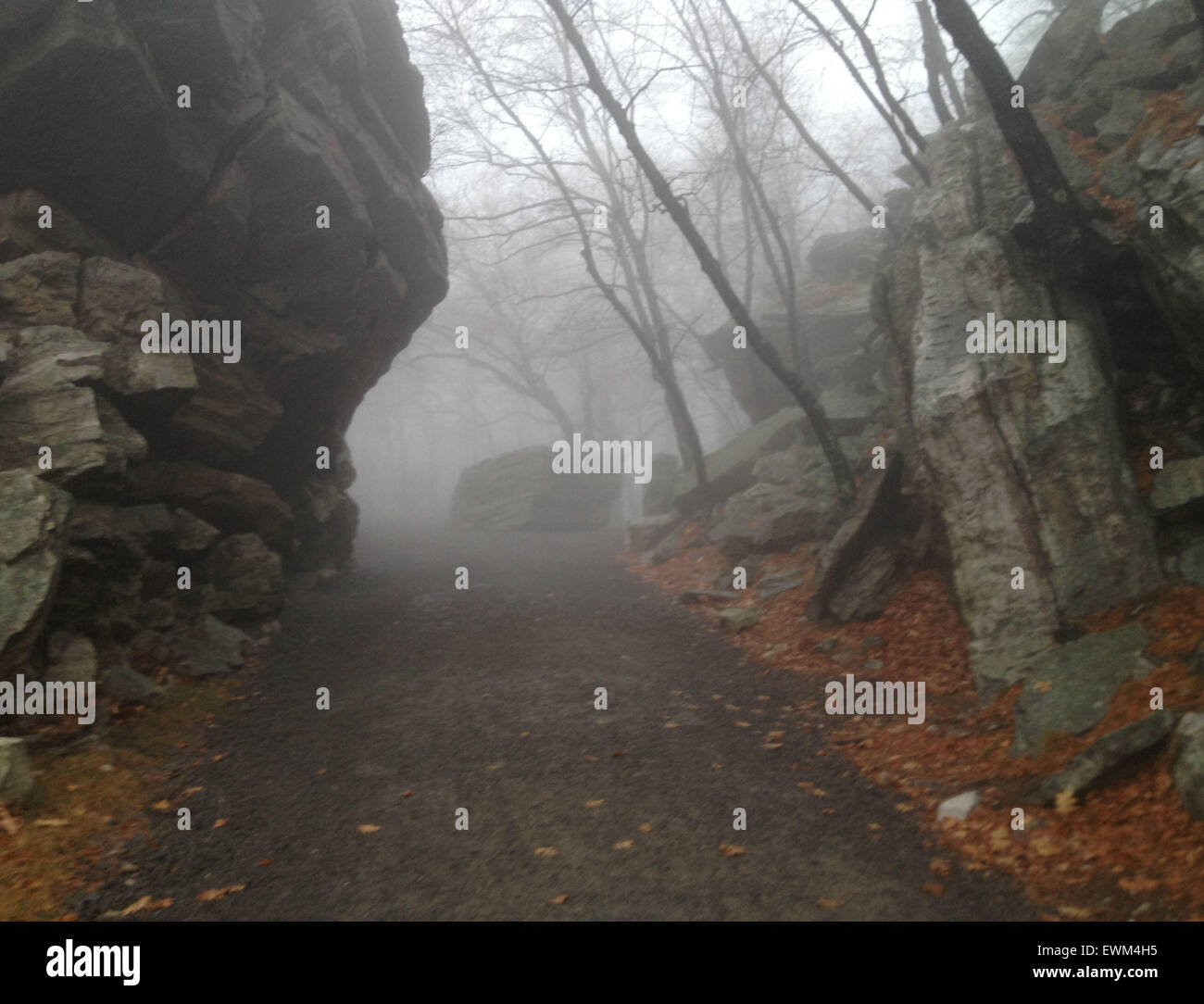 Undercliff Trail in the Trapps climbing area ('The Gunks') in the Mohonk Preserve in upstate New York. Stock Photo