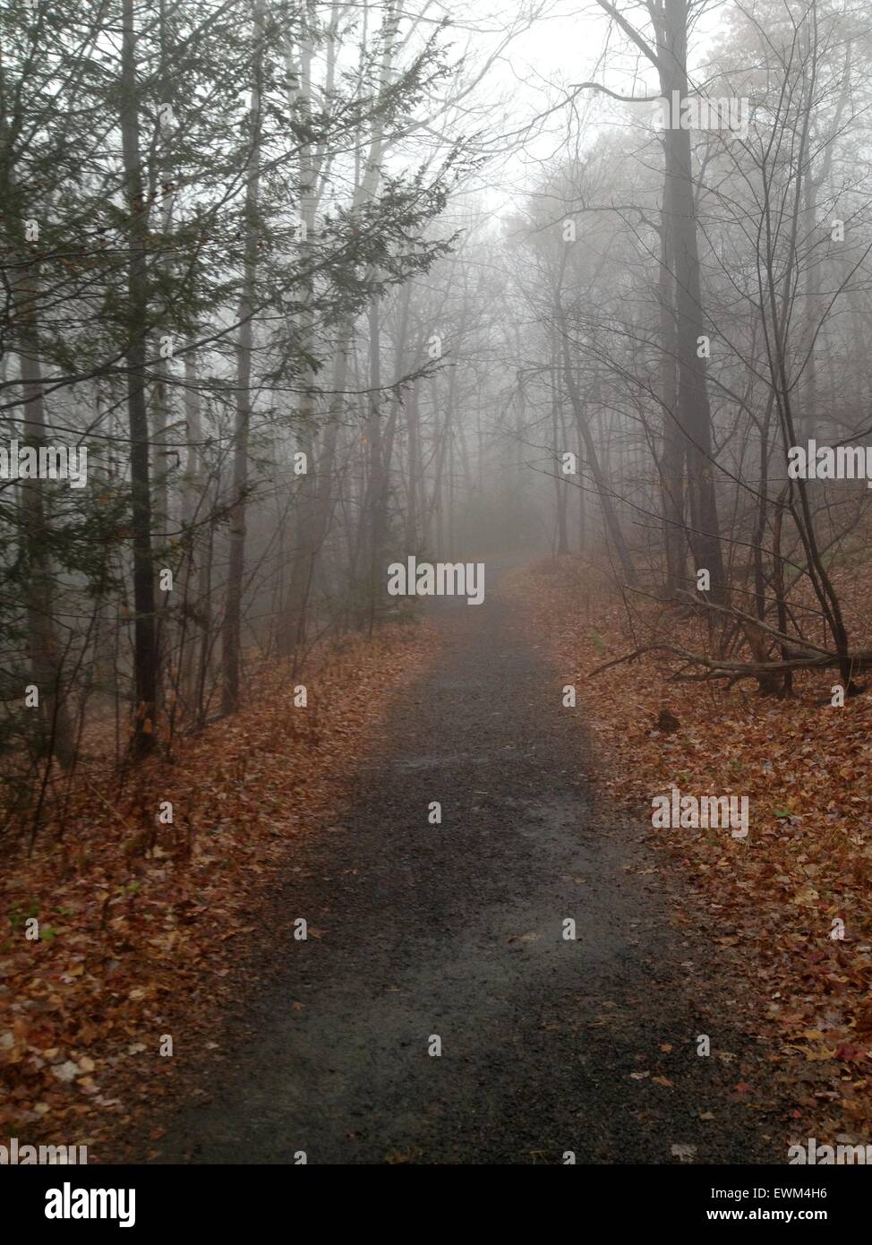 Trail leading to the Trapps climbing area ('The Gunks') in the Mohonk Preserve, New York State Stock Photo