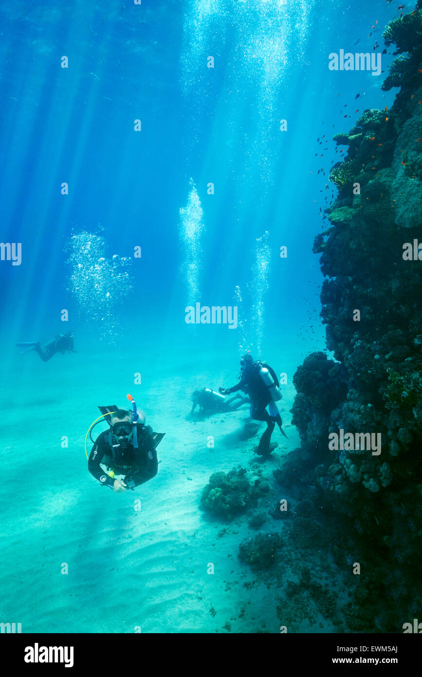 Scuba divers underwater, Marsa Alam Reef, Red Sea, Egypt Stock Photo