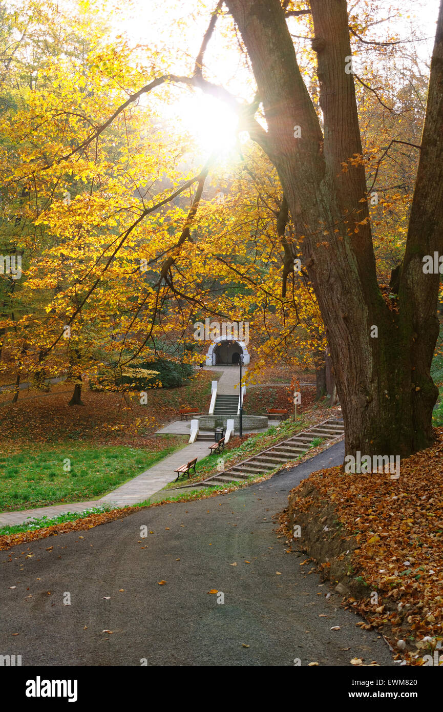 alley in the city park at the autumn Stock Photo - Alamy