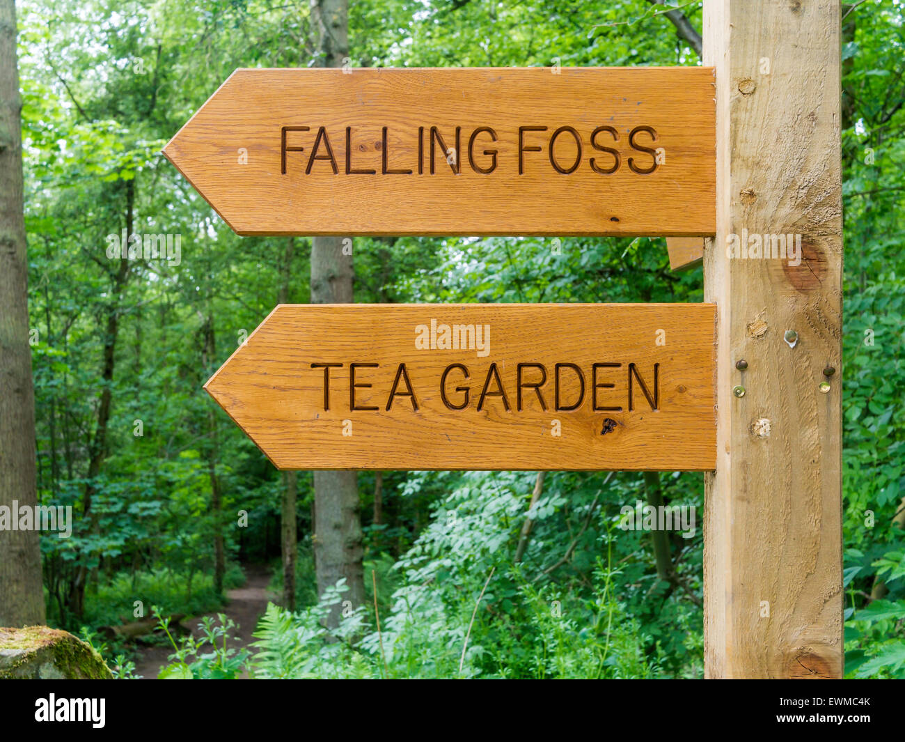 Wooden sign post to the Falling Foss Tea Room Sneaton Forest North Yorkshire Moors National Park Whitby North Yorkshire Stock Photo