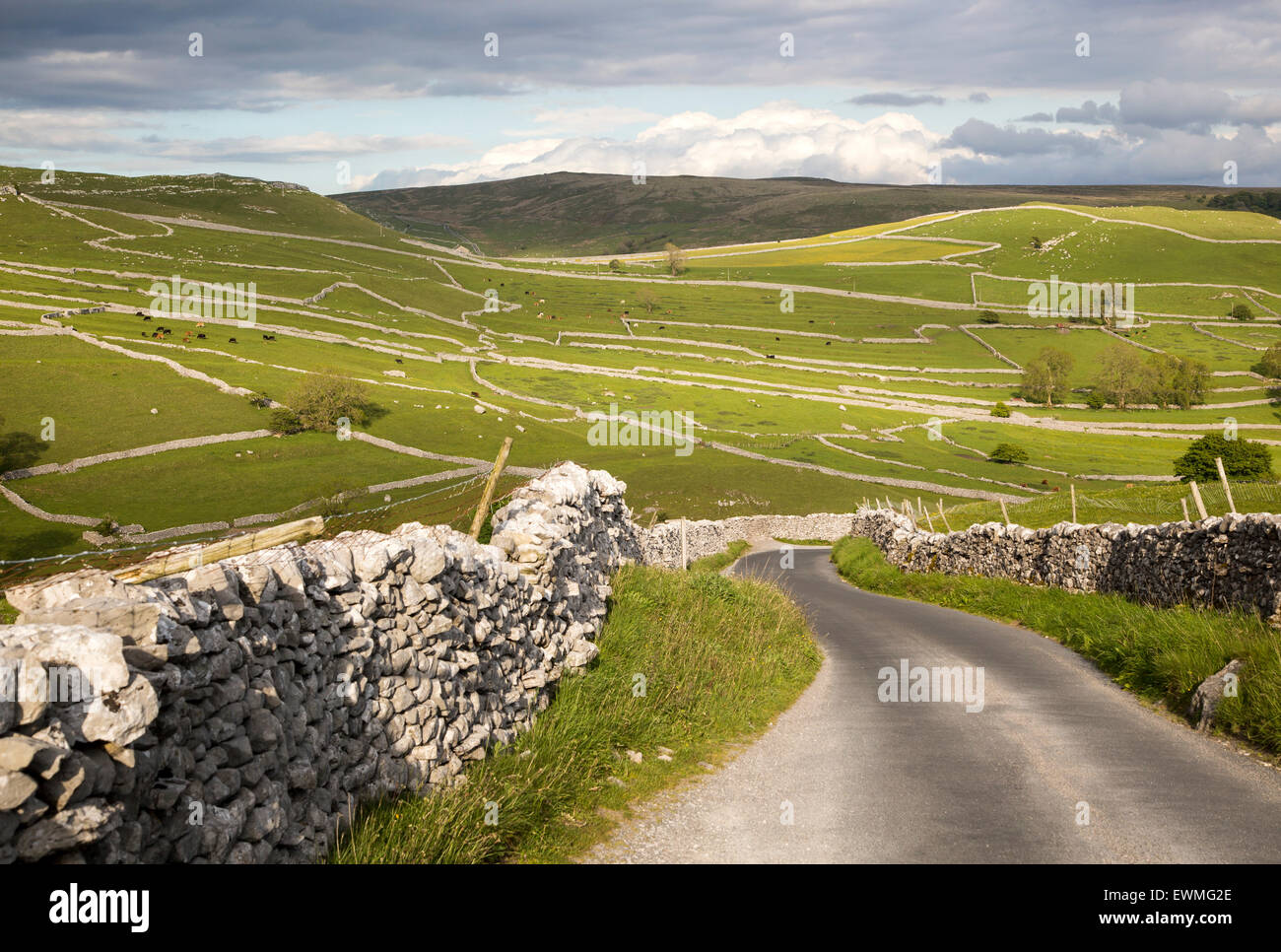 Country lane and dry stonewalls, Malham, Yorkshire Dales national park, England, UK Stock Photo