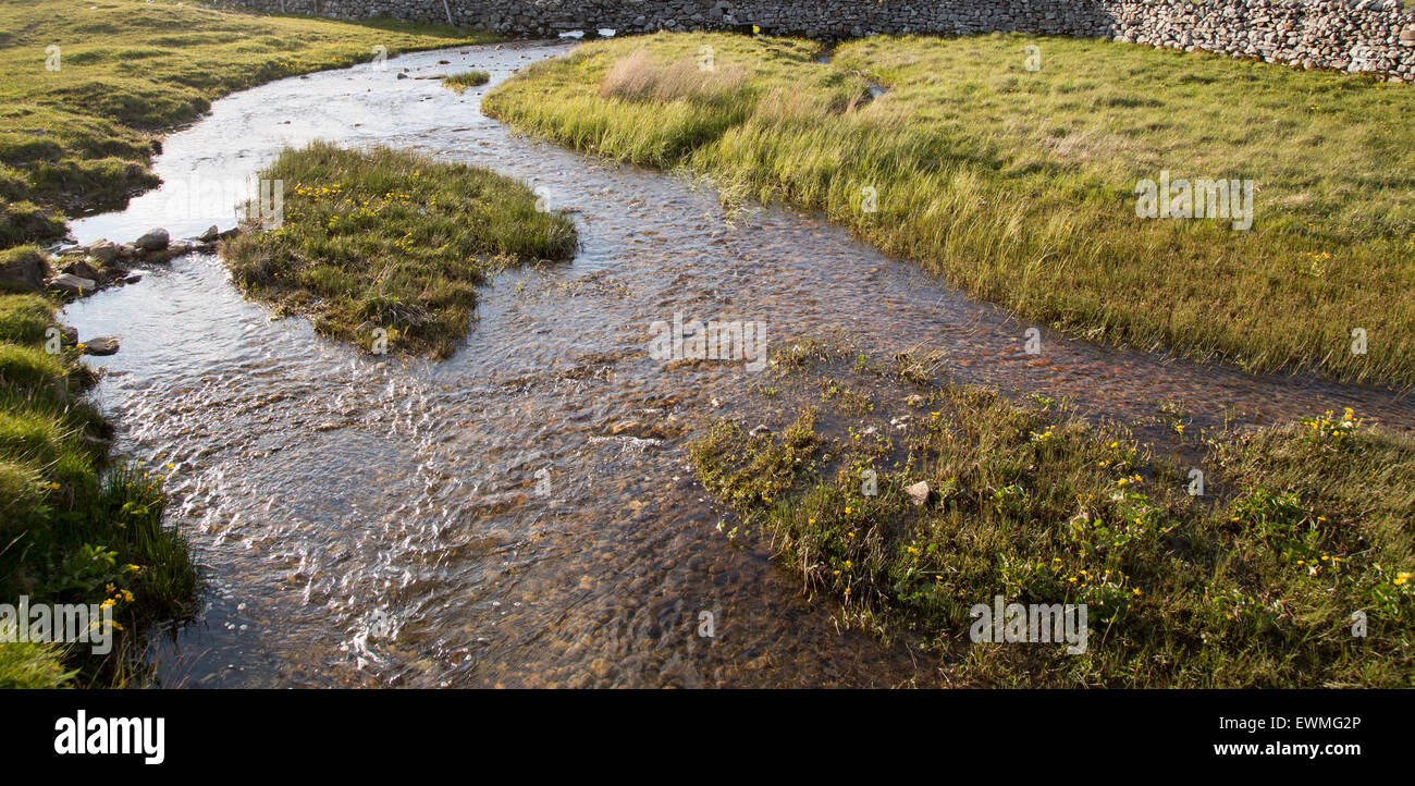 Stream flowing over limestone rock, Malham, Yorkshire Dales national park, England, UK Stock Photo