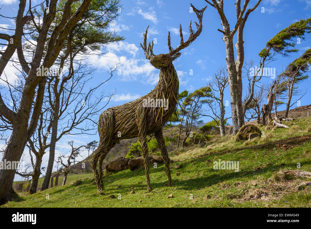 Willow sculpture of a red deer stag, Art in Nature Sculpture Trail, Calgary Bay, Isle of Mull, Hebrides, Argyll and Bute, Scotland Stock Photo