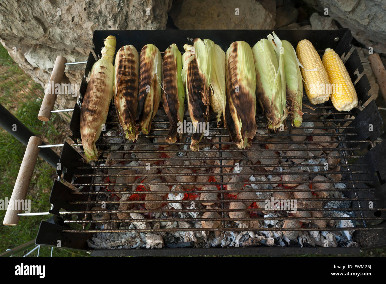 Corn on the cob on grill, glowing charcoal in front, Germany Stock