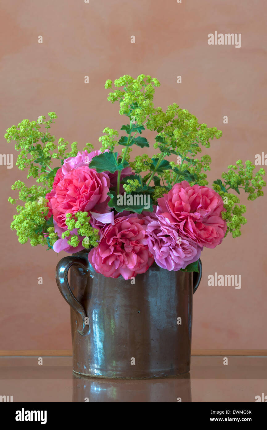 Bouquet in clay jug on table, 'Cariona' rose and lady's mantle (Alchemilla sp.) Stock Photo