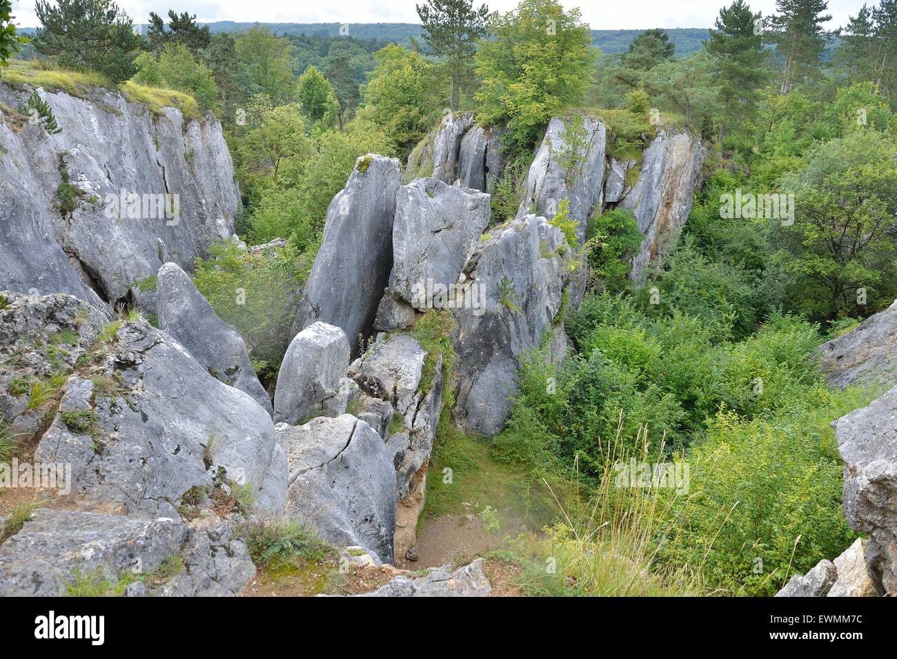 The Fondry des chiens (Pits of the dogs) strange geologic site with close connections to karst development Belgium Stock Photo