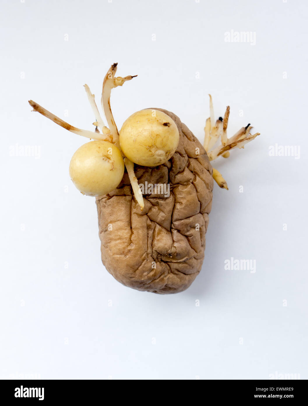 food, aliment, comic, face, eyes, crown, potatoes, cartoon, potato, potatoe  Stock Photo - Alamy