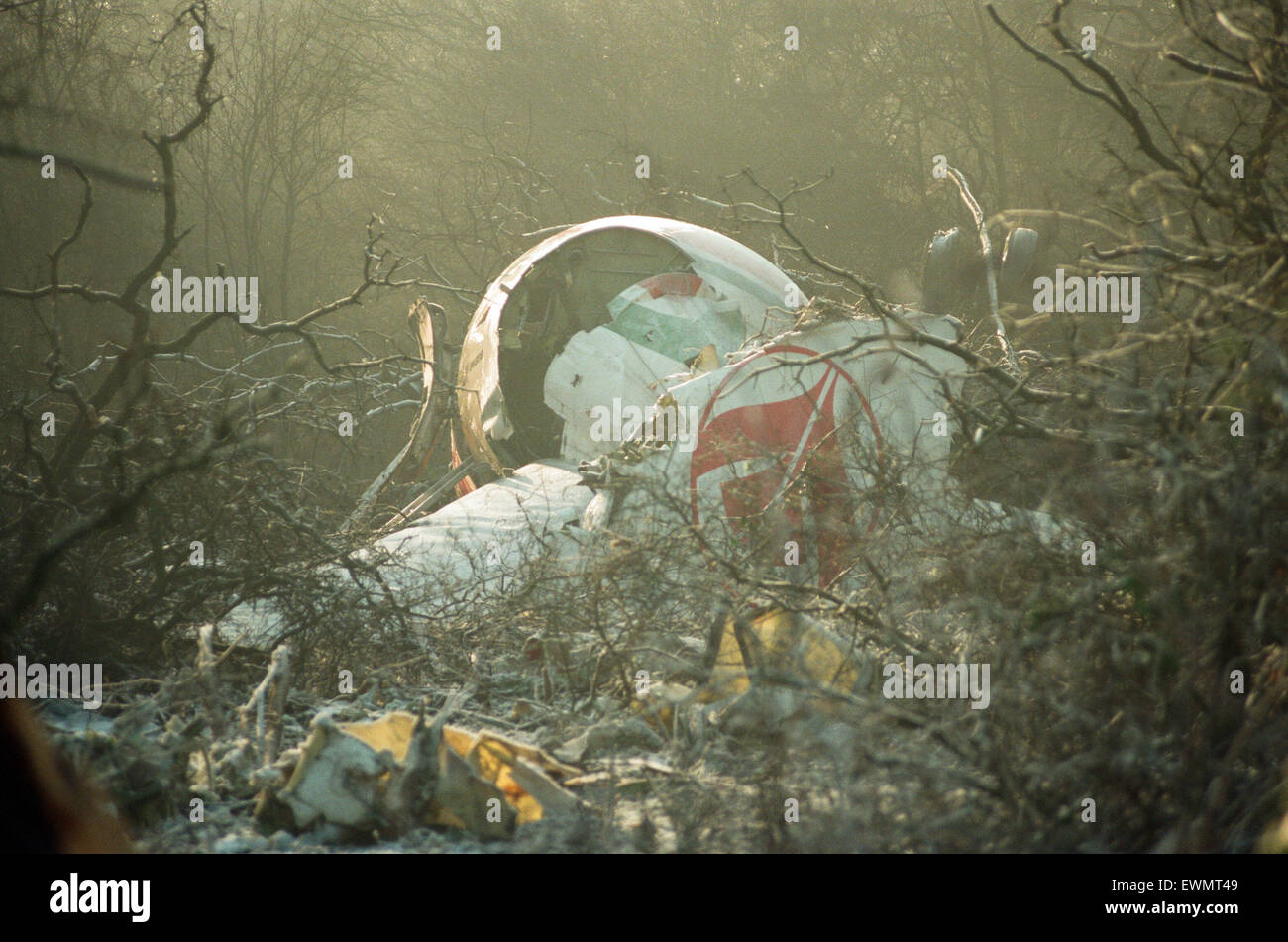 The wreckage near Coventry Airport following the Boeing 737 crash, which killed five people. 22nd December 1994. Stock Photo