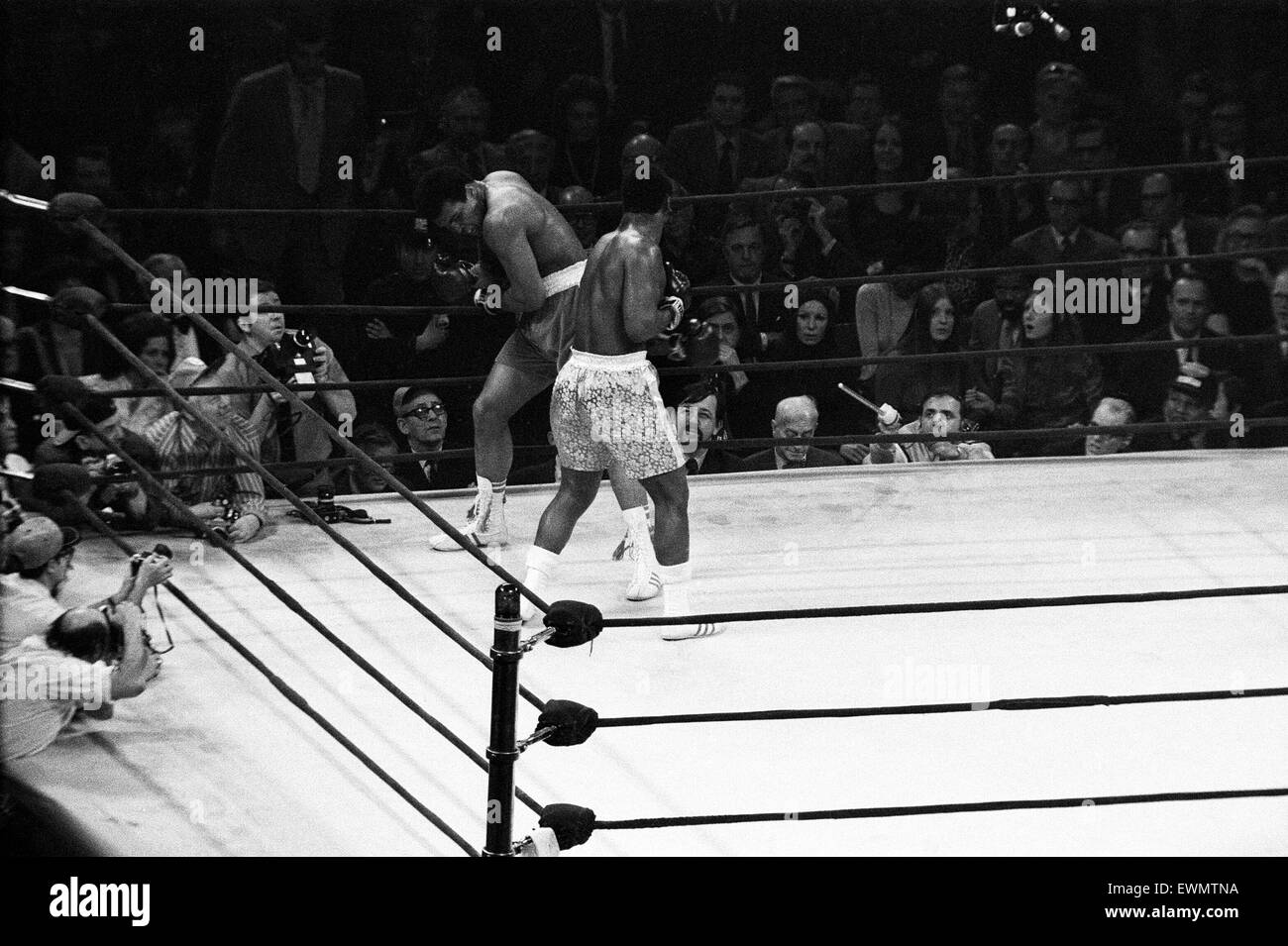 Muhammad Ali and Joe Frazier battle it out for the World Heavyweight Championship in Madison Square Garden New York City. 8th March 1971 Stock Photo