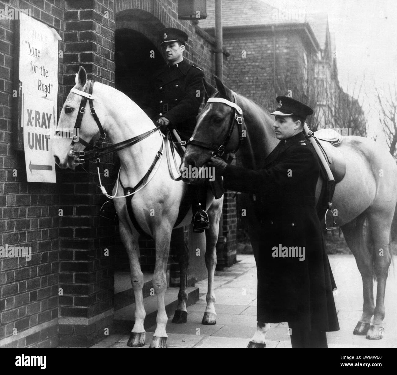 Police horses at an X-ray unit. Hobson's choice wonders what it is all about when Constable Thomas Bodessa of the Mounted Section of Liverpool City Police arrived at the X-ray unit in Mather Avenue, accompanied by Constable George Forshaw on Fair Play. 20 Stock Photo