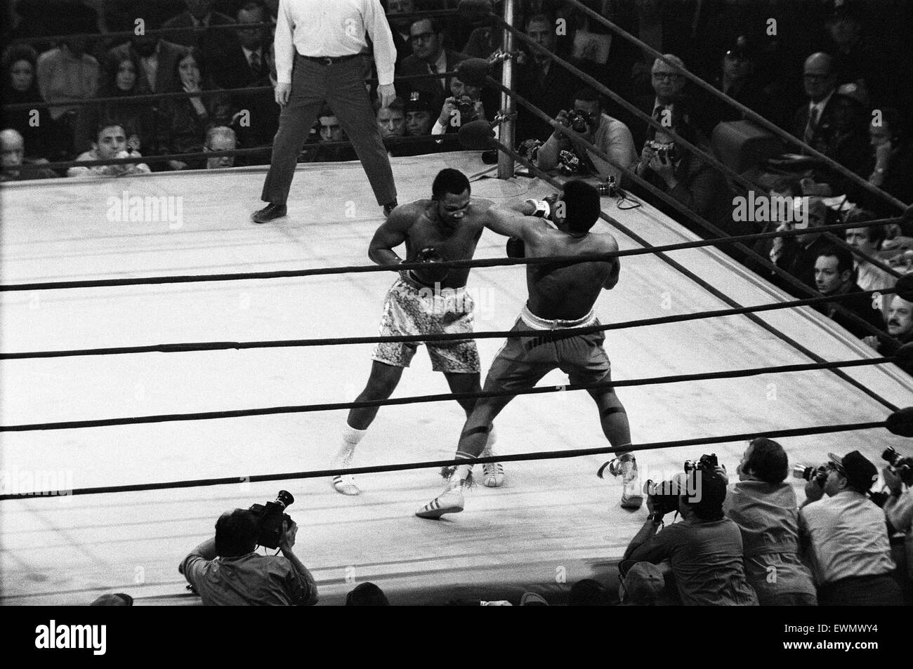 Muhammad Ali and Joe Frazier battle it out for the World Heavyweight Championship in Madison Square Garden New York City. 8th March 1971 Stock Photo
