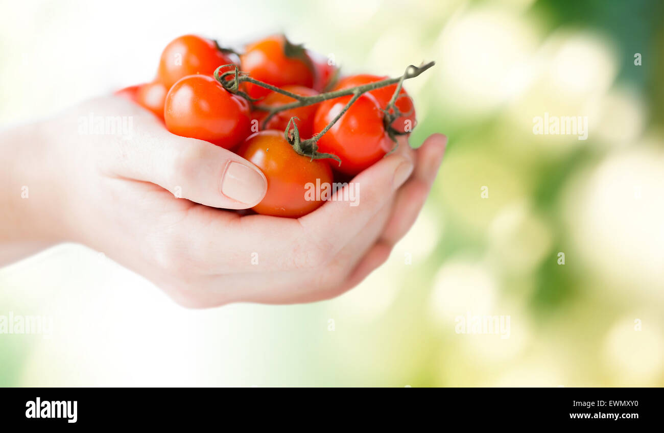 close up of woman hands holding cherry tomatoes Stock Photo - Alamy