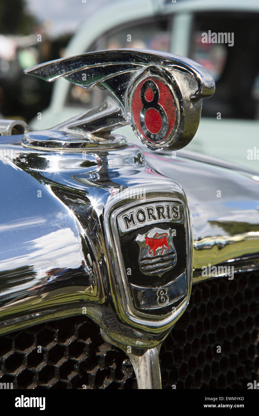 UK, England, Cheshire, Chelford, Astle Park Traction Engine Rally, radiator badge of 1930s Morris 8 car Stock Photo