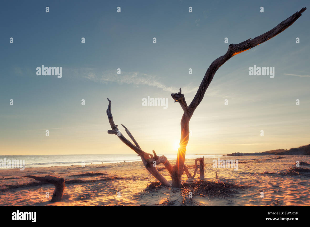 Sunrise at Folly Beach, James Island, South Carolina, USA Stock Photo