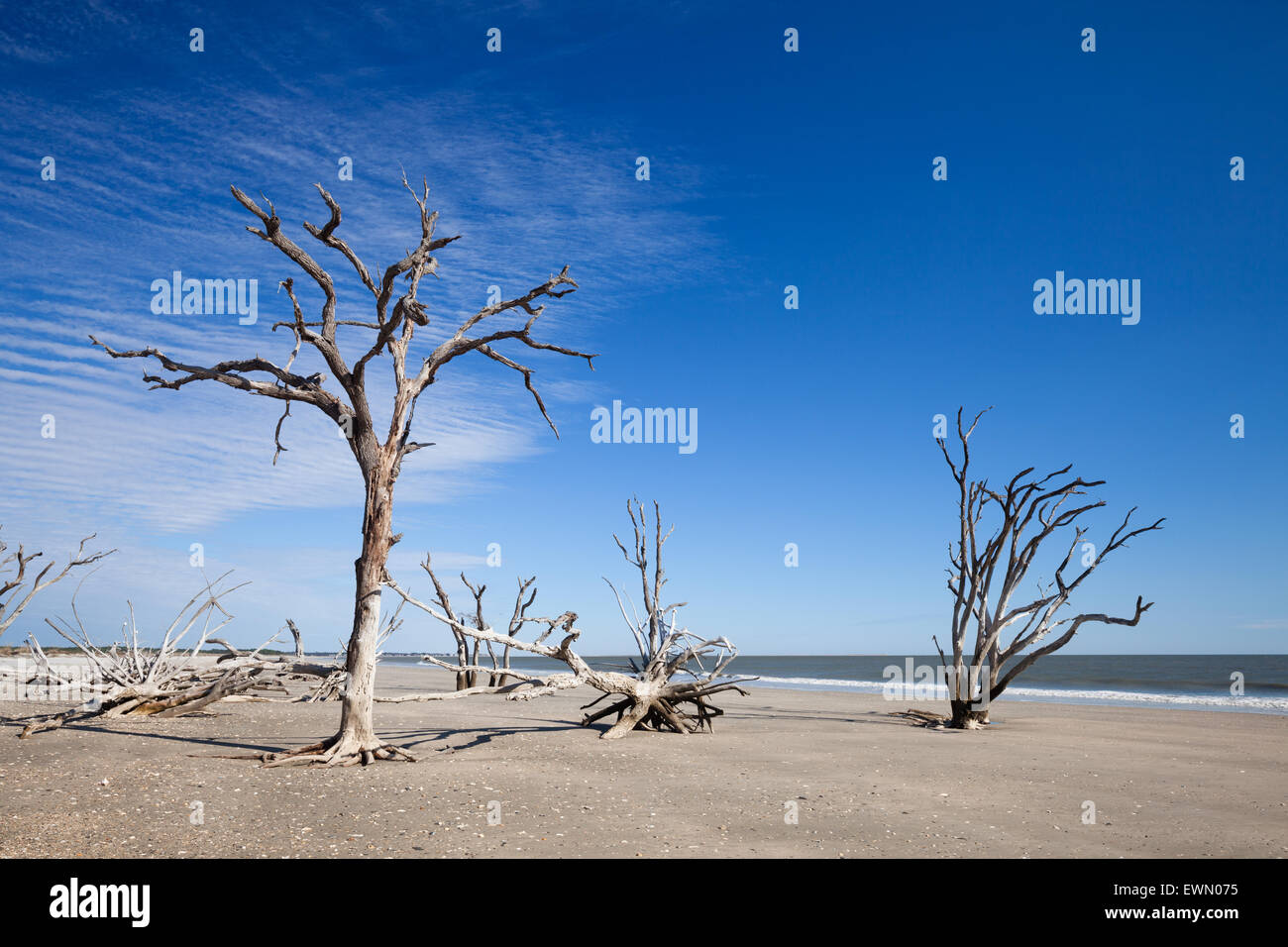 Botany Bay beach, Edisto Island, South Carolina, USA Stock Photo Alamy