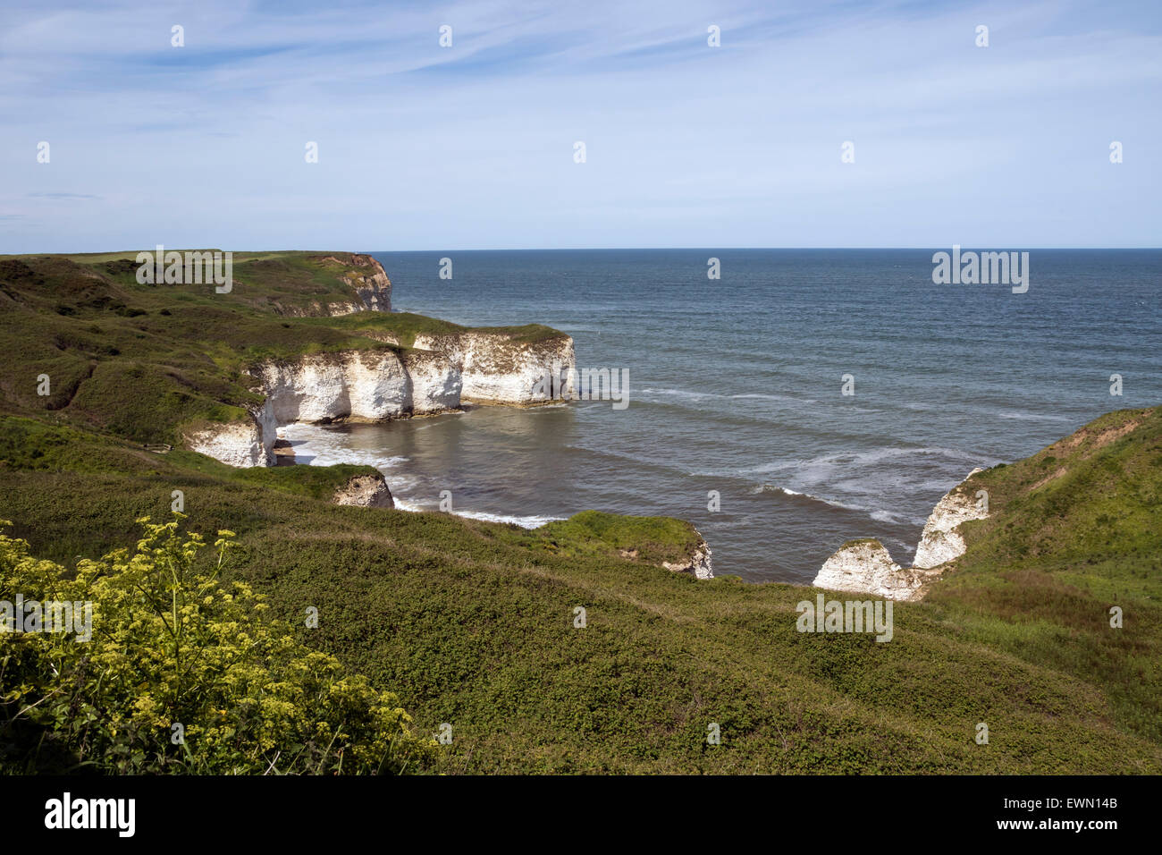 Sea cliffs at Flamborough Head, East Yorkshire. UK Stock Photo Alamy